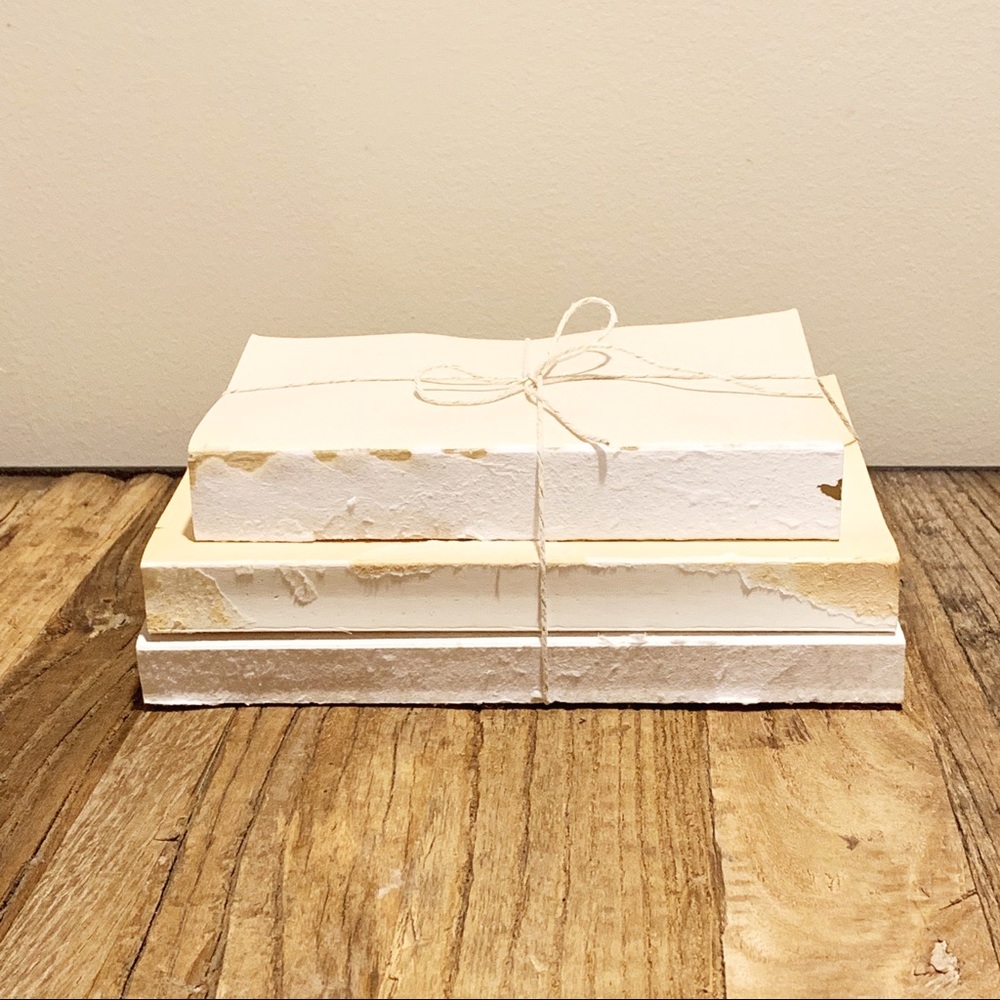 Vintage looking books (set of 3)